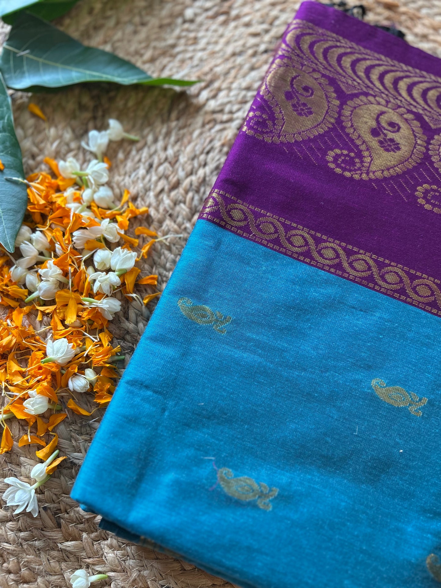 Aqua blue and wine - Premium Cotton Silk Saree with Contrast Blouse