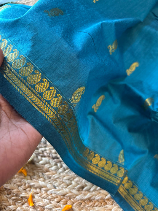 Aqua blue and wine - Premium Cotton Silk Saree with Contrast Blouse